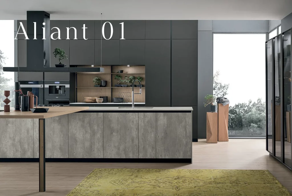 Aliant (4)